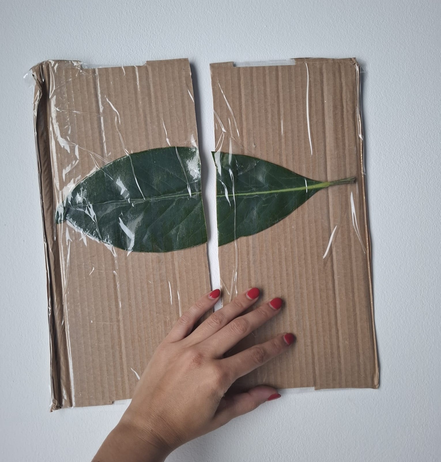 Puzzle da Natureza